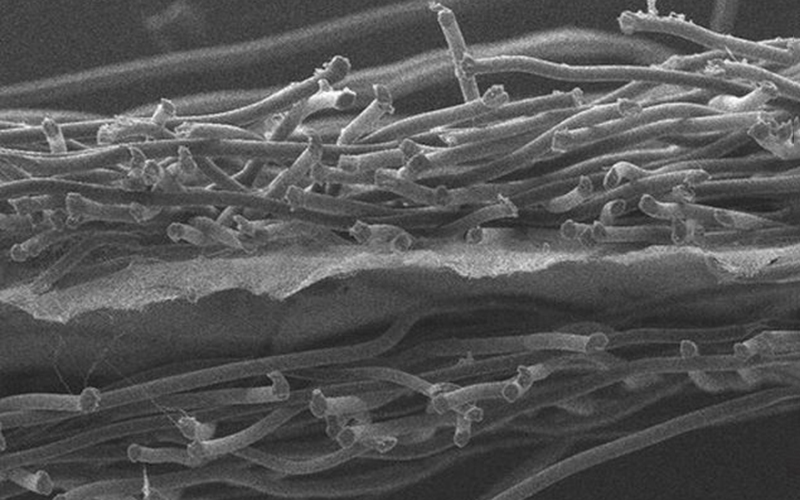 熔融聚合物過濾應用